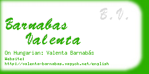 barnabas valenta business card